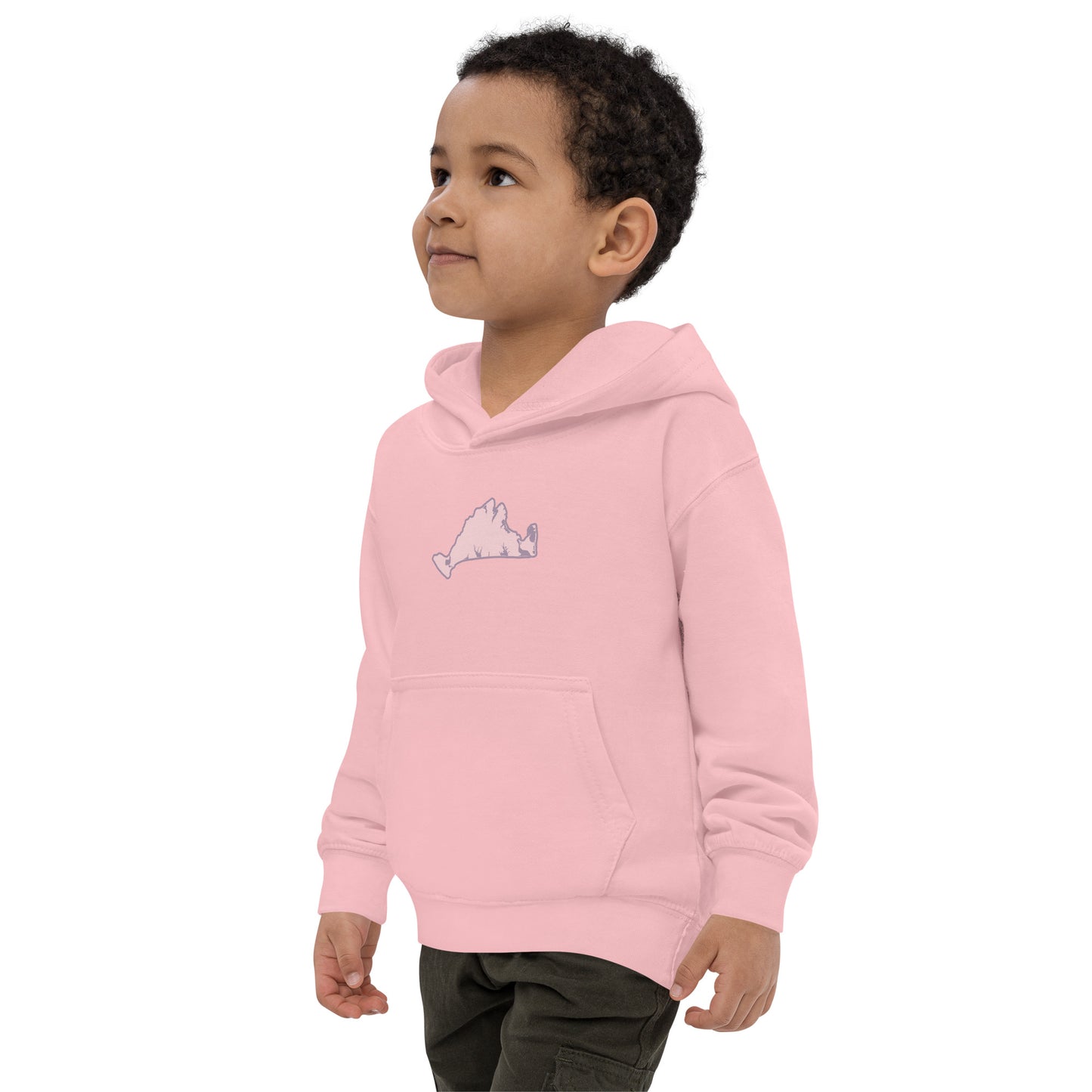 Martha's Vineyard Kids Hoodie