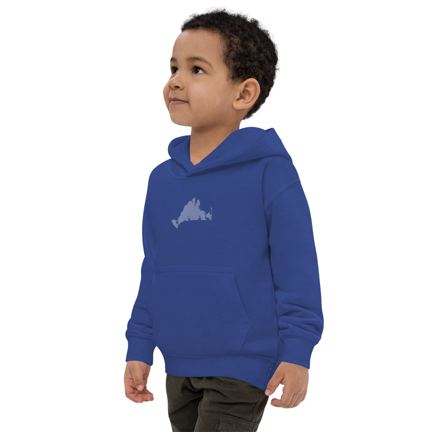 Martha's Vineyard Kids Hoodie