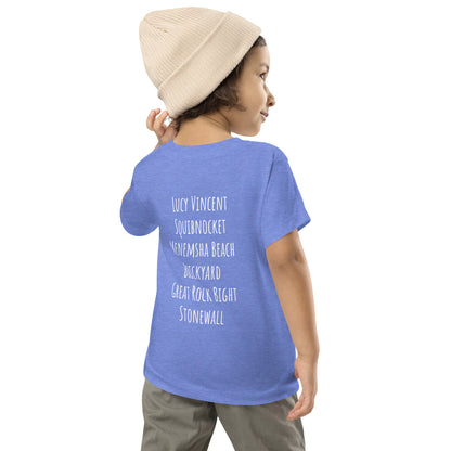 Chilmark Beaches Toddler Tee2